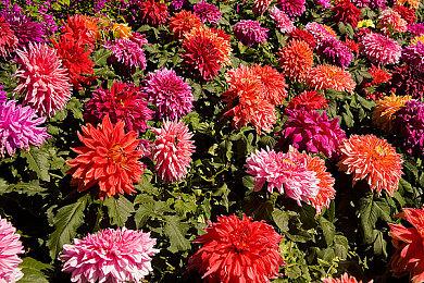 Meta Quest公布2023上半年VR游戏排行 《生化危机4》排第二